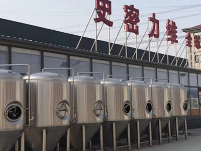小店精酿啤酒设备厂—市场规模与跨界新需求